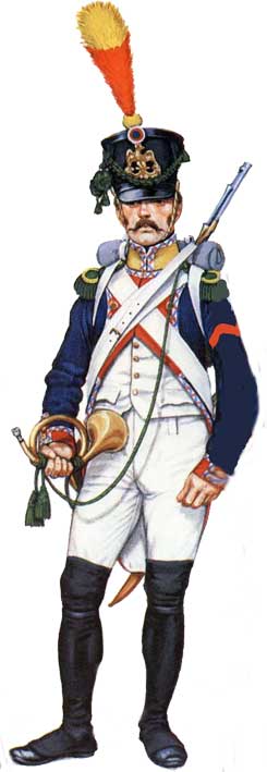 униформа линейной пехоты Наполеона