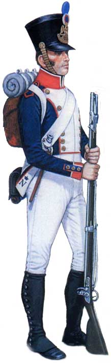 униформа наполеоновской пехоты