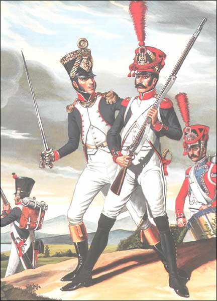 униформа наполеоновской армии