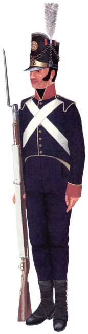 униформа линейной пехоты 1806-1814 годов