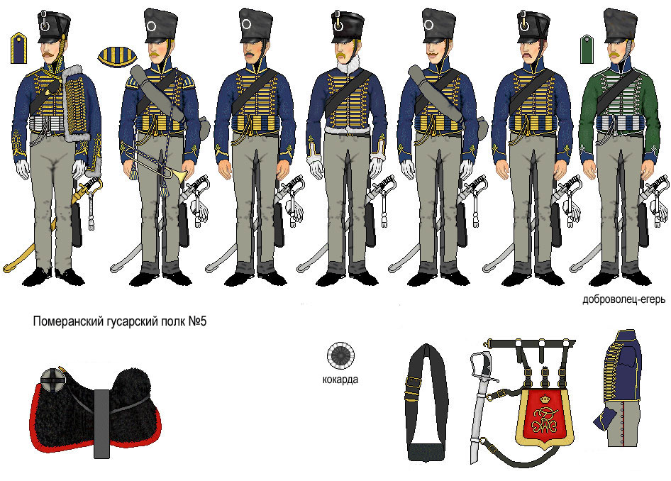 Униформа Померанского гусарского полка №5, 1815 год