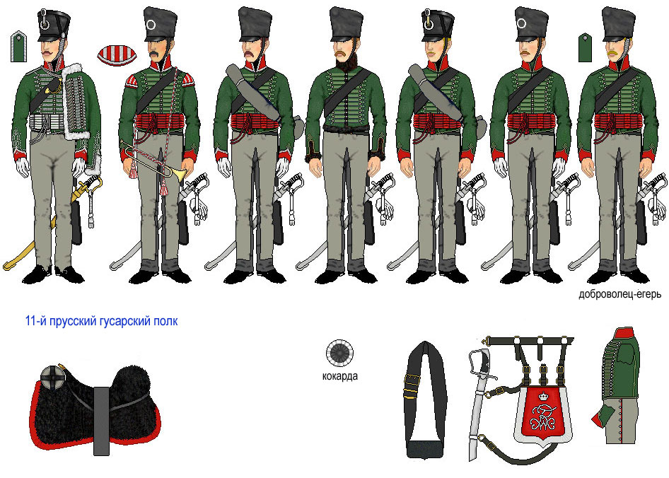 Униформа 11-го гусарского полка, 1815 год