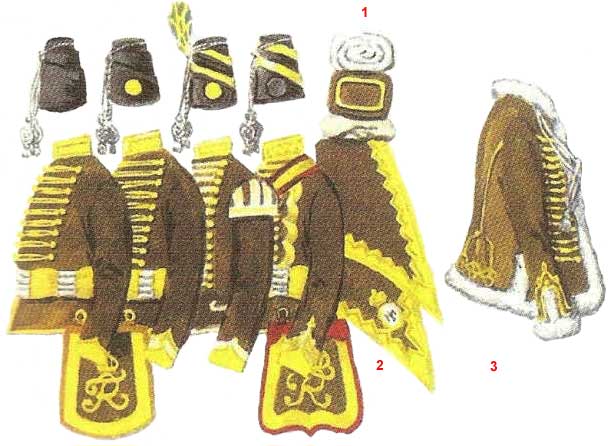 Униформа прусского 6-го гусарского полка. Uniforms Prussian 6th Hussars.