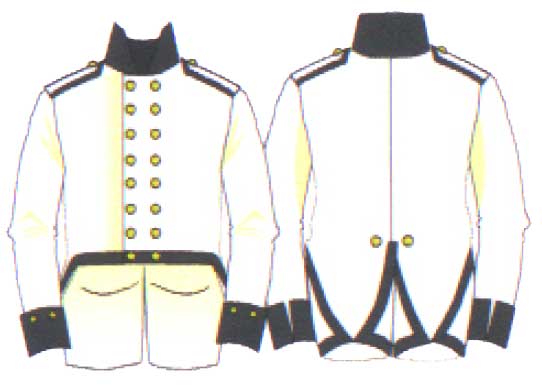 коллет Силезского кирасирского полка, 1813 год