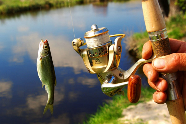 Рыбалка, правила рыбалки, безопасность на рыбалке, правила безопасной рыбалки, правила рыбалки 2013