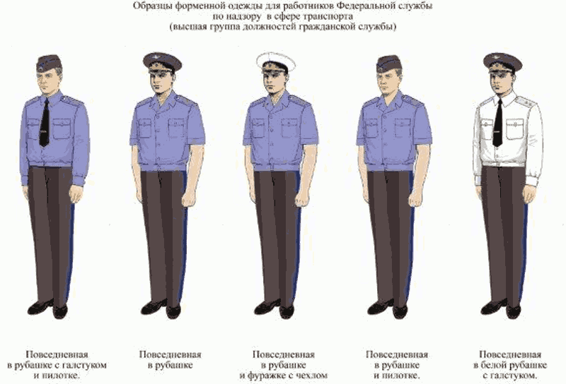 Приказ мвд по форме одежды полиции