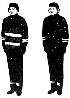 О форменной одежде, знаках различия и порядке ношения форменной одежды работниками Федеральной службы по надзору в сфере транспорта, осуществляющими функции по контролю и надзору (с изменениями на 20 февраля 2015 года.jpg