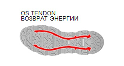 OS TENDON