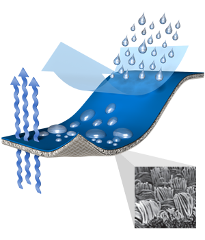 Pertex Equilibrium