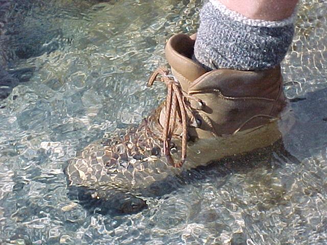 046_These_boots_were_made_for_swimming1.jpg