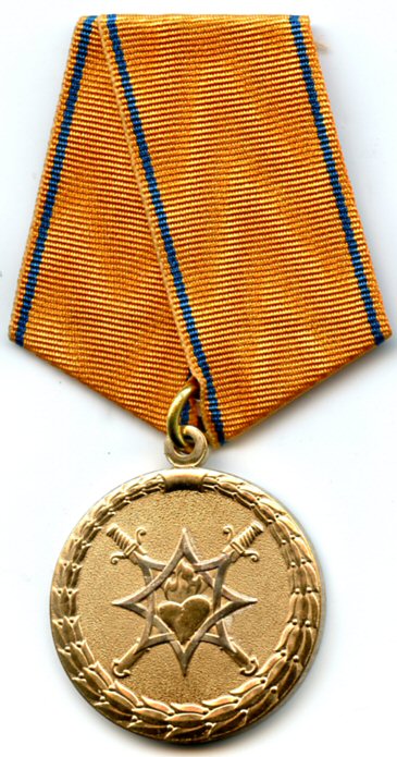 Medal For Courage During a Rescue.jpg