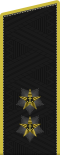 Russia-Navy-OF-7-2010.svg