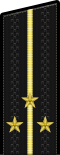 Russia-Navy-OF-1c-2010.svg
