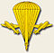 VDV-emblem.jpg