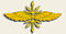 SVIAZ-emblem.jpg