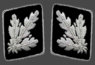 HH-SS-Brigadefuhrer-Collar.png
