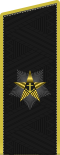 Russia-Navy-OF-9-2013.svg